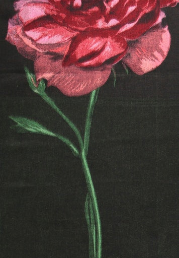 Cashmink Scarf - Black