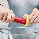 Flavouriser Meat Tenderiser