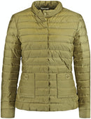 Water Repellent Padded Jacket - Poison