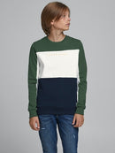 Pro Sweat Crew - Trekking Green