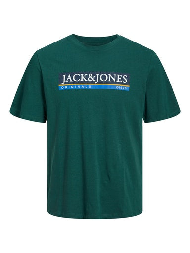 Codyy Round Neck T-Shirt - Trekking Green