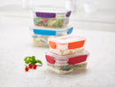 Nest Lock Multicolour Container Set - 4 Piece