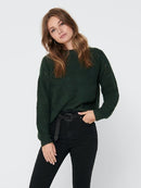 Round Neck Pullover - Scarab
