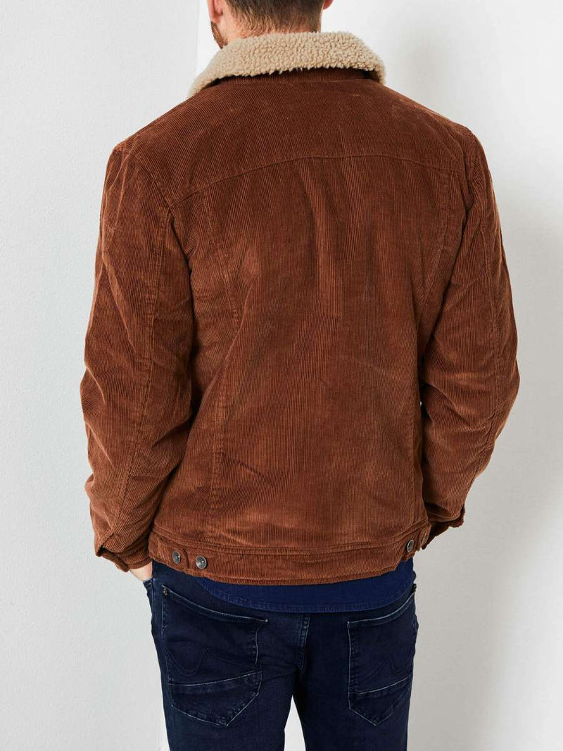 Cord Trucker Jacket - Truffle