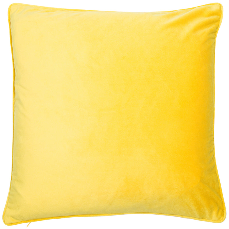 Matt Poly Velvet With Piping