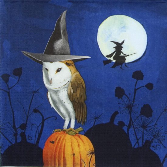 Cocktail Napkin 20 Pack - Wizards Halloween