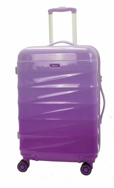 Ombre 65cm Spinner - Lilac
