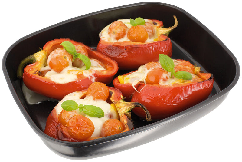 Roaster 26x22x7cm SB85