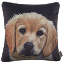 Velvet Golden Retriever Cushion