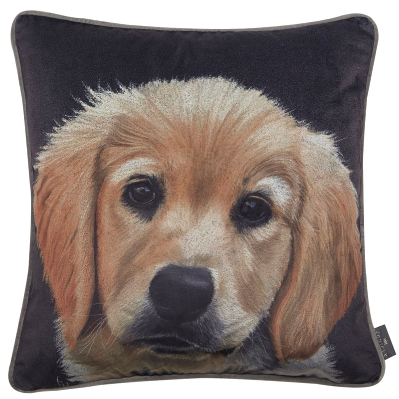 Velvet Golden Retriever Cushion