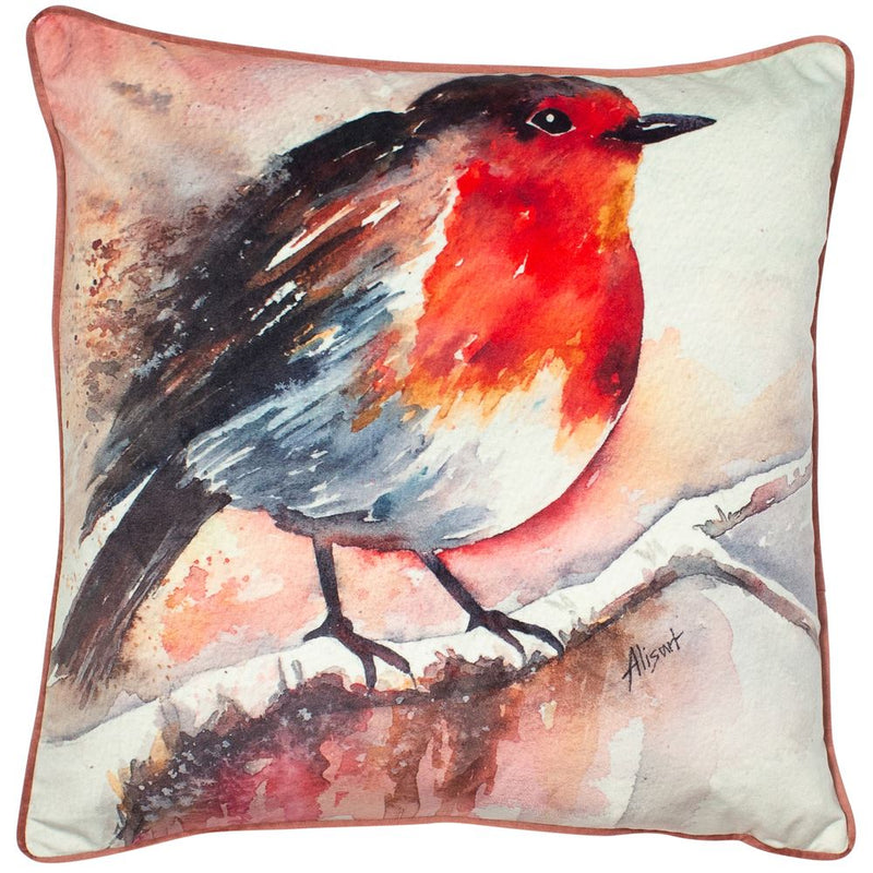Robin On Velvet Print 45x45cm