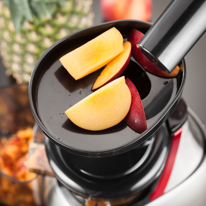 Electrical Slow Juicer