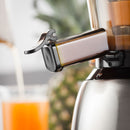 Electrical Slow Juicer