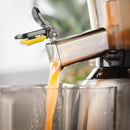 Electrical Slow Juicer