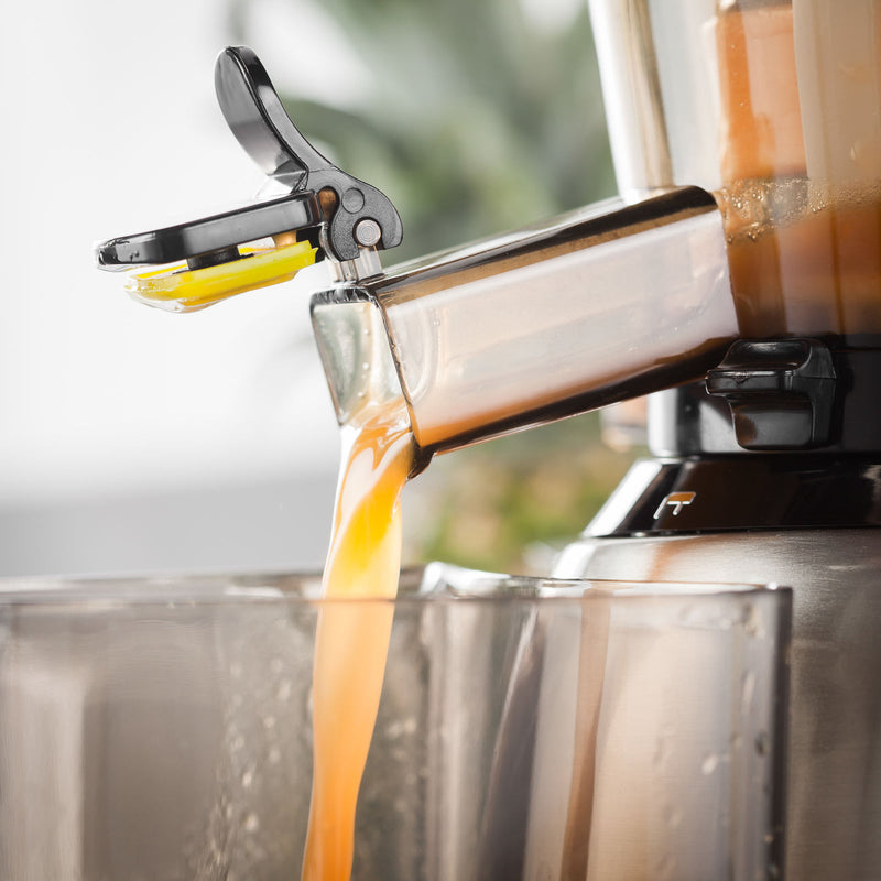 Electrical Slow Juicer