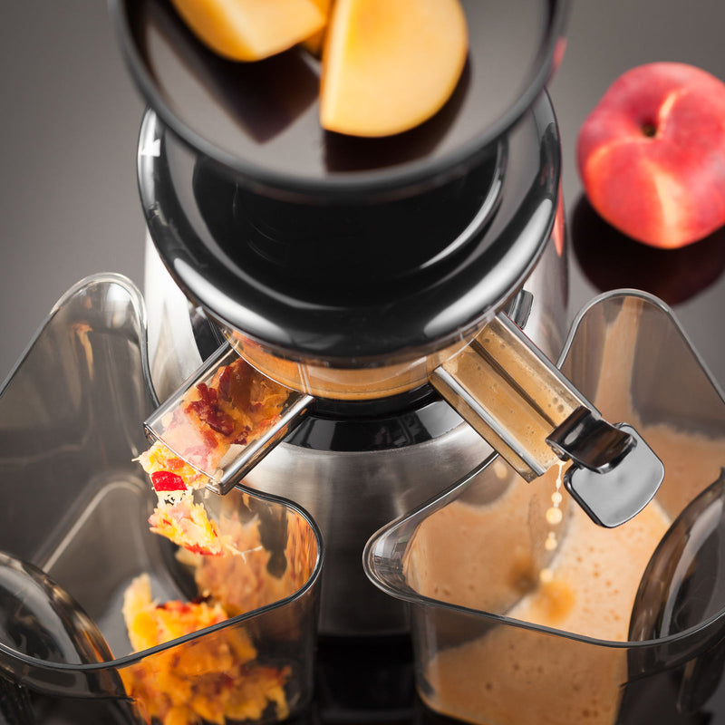 Electrical Slow Juicer