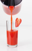 800W Juice Extractor