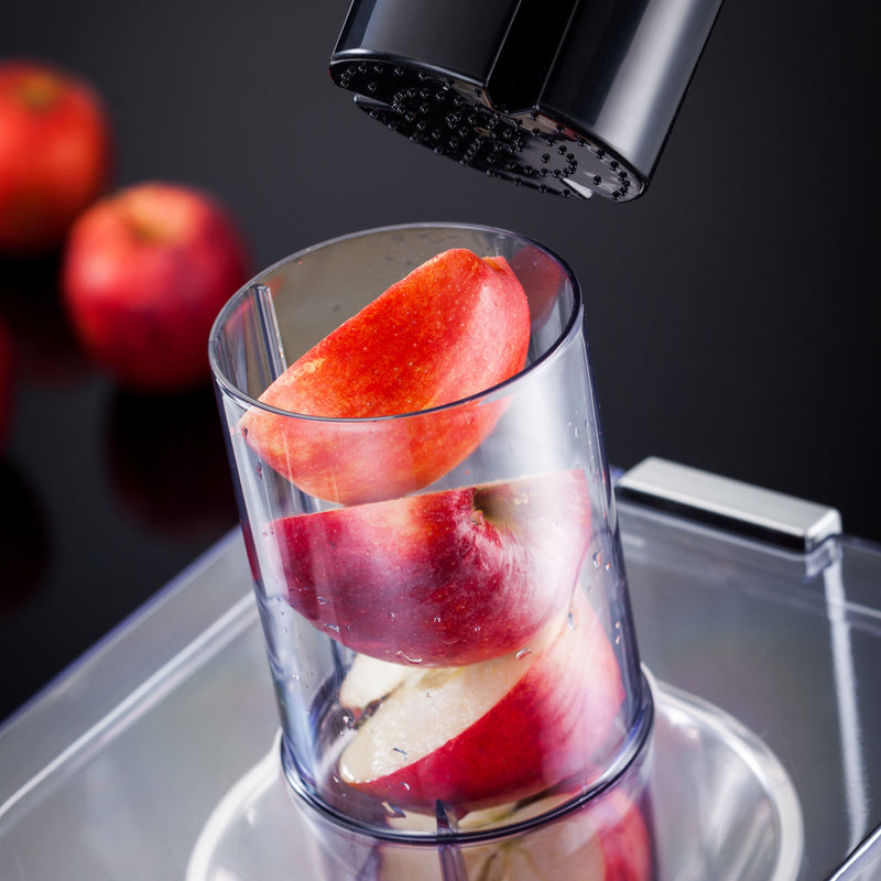 800W Juice Extractor