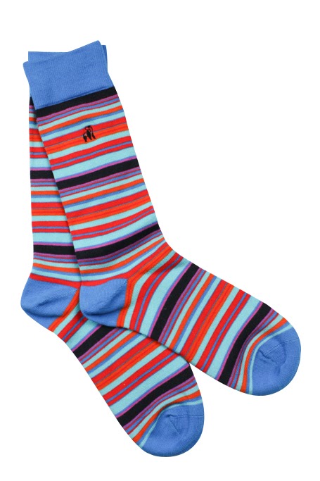 Narrowstr Sock - Red/blue