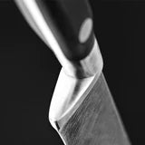 Sabatier IS 10" Carving Knife