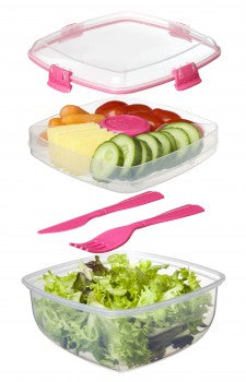 Salad To Go Box Clear / Coloured