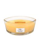 Ellipse Candle Seaside Mimosa