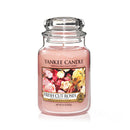 Large Jar Fresh Cut Roses