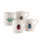 Curio Mug Set Of 4