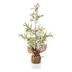 60cm Natural Mistletoe Tree