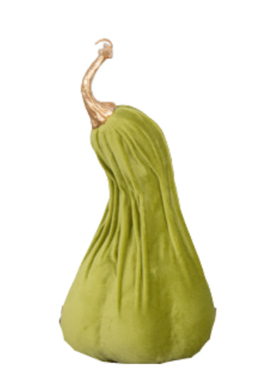 15x30cm Crooked Neck Green Pumpkin