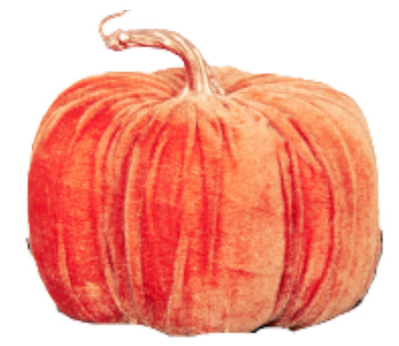 20x16cm Orange Pumpkin