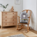 Pregnancy & Nursing Pillow