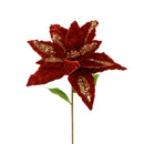 Red Lux Giant Velvet Poinsettia