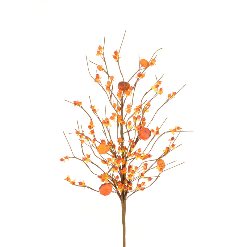 Bittersweet Spray 72cm