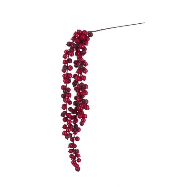 Hanging Berry Cluster