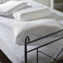 Beldorm 100% Combed Cotton Jersey Pillowcase Pair - Ivory