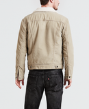 Sherpa Trucker Jacket - Chino