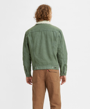 Sherpa Trucker Jacket - Thyme Trucker