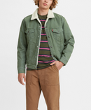 Sherpa Trucker Jacket - Thyme Trucker