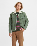 Sherpa Trucker Jacket - Thyme Trucker