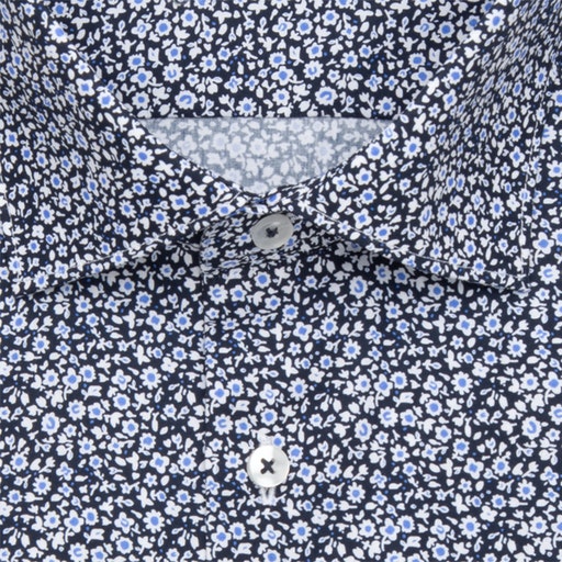 Regular Fit New Kent Shirt - Dark Blue