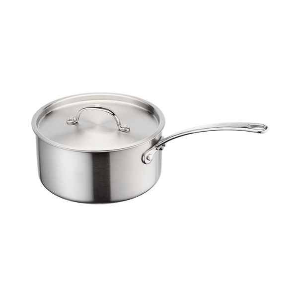 Eclipse 20cm Saucepan 2.5L