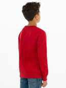 Boys Batwing Sweater - Levis Red/white