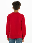 Boys Batwing Sweater - Levis Red/white