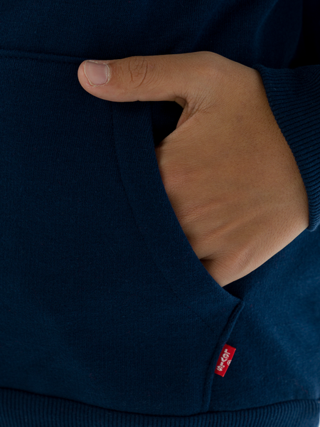 Levis Boys Batwing Screenprint Hoodie - Dress Blue