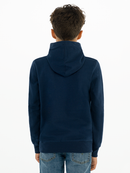 Levis Boys Batwing Screenprint Hoodie - Dress Blue