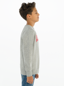Boys Batwing Sweater - Grey Heather