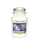 Large Jar Calm & Quite Place