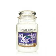 Large Jar Midnight Jasmine