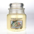 Medium Jar Christmas Cookie